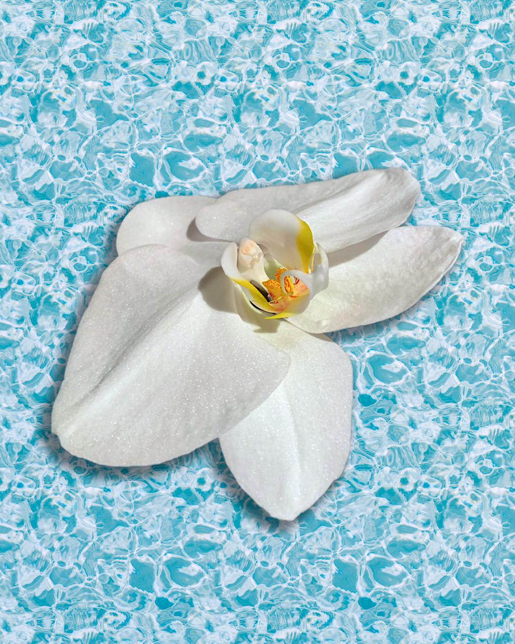 エステサロンまどか